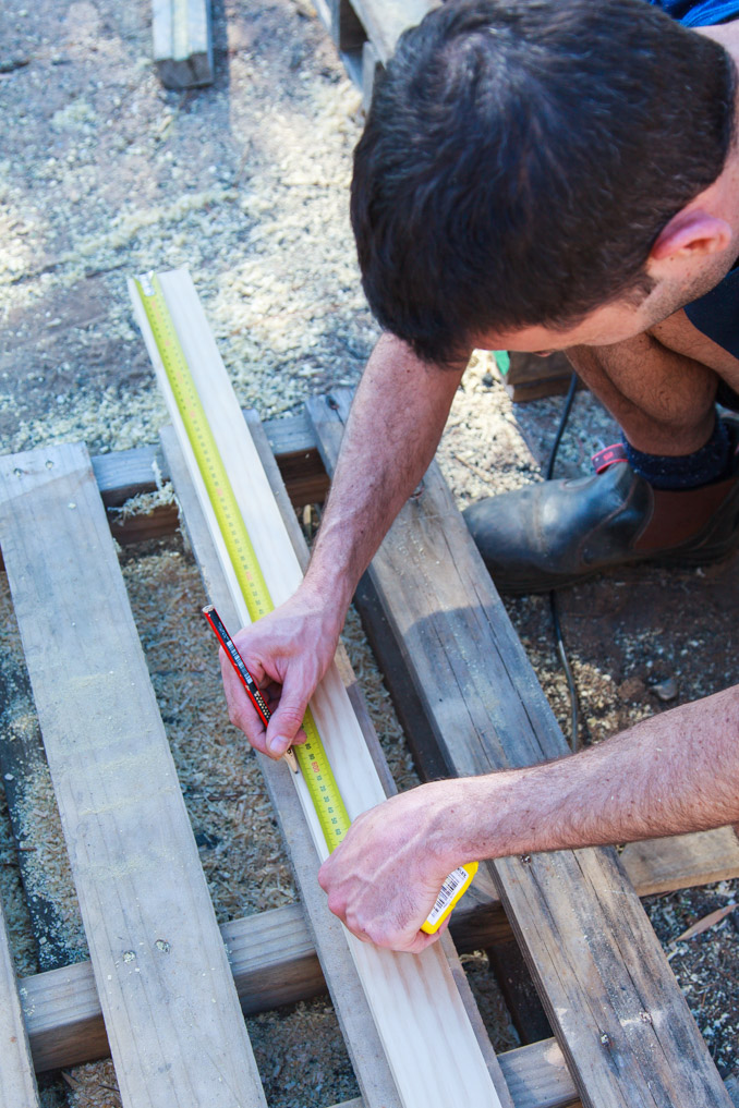 How To Make A Living Christmas Centerpiece For Your Christmas Table + Video | The Whimsical Wife