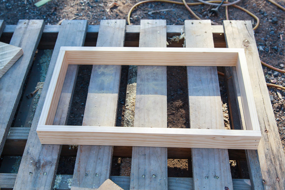 How To Make A Living Christmas Centerpiece For Your Christmas Table + Video | The Whimsical Wife