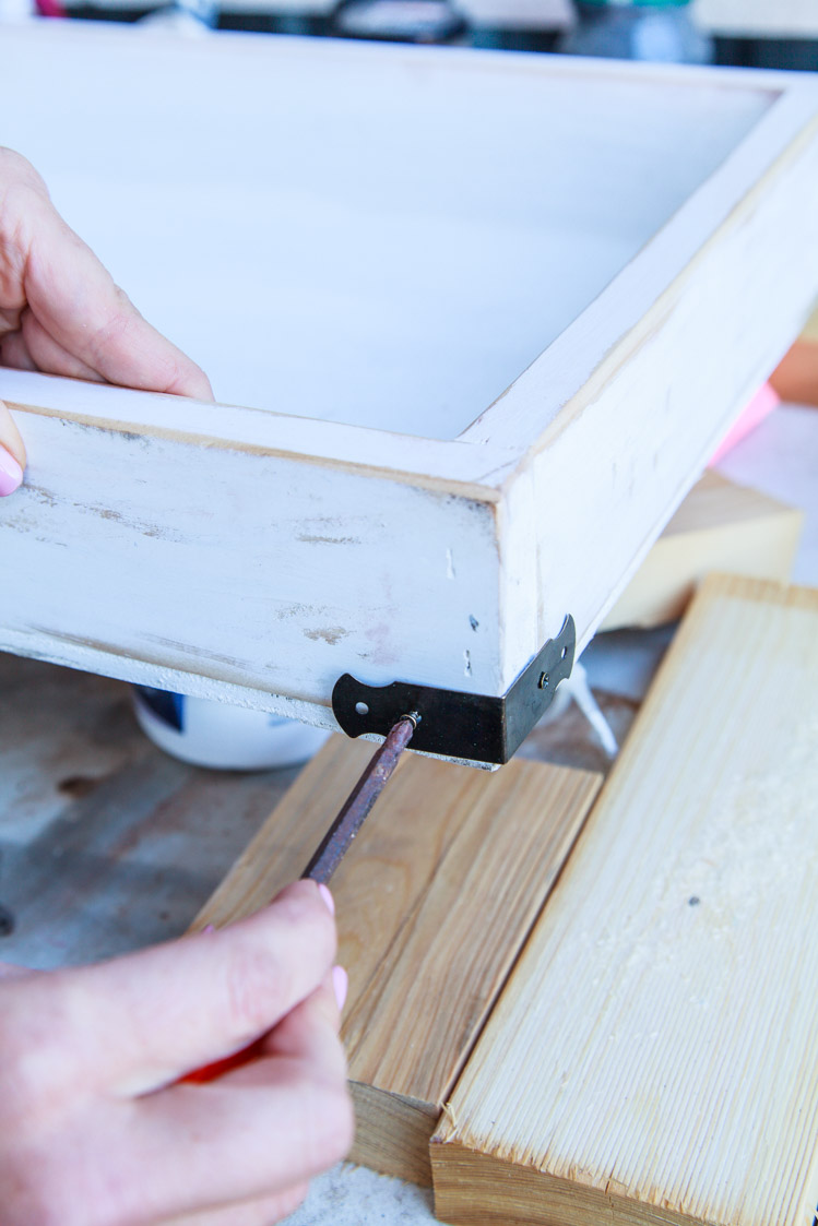 How To Make A Living Christmas Centerpiece For Your Christmas Table + Video | The Whimsical Wife