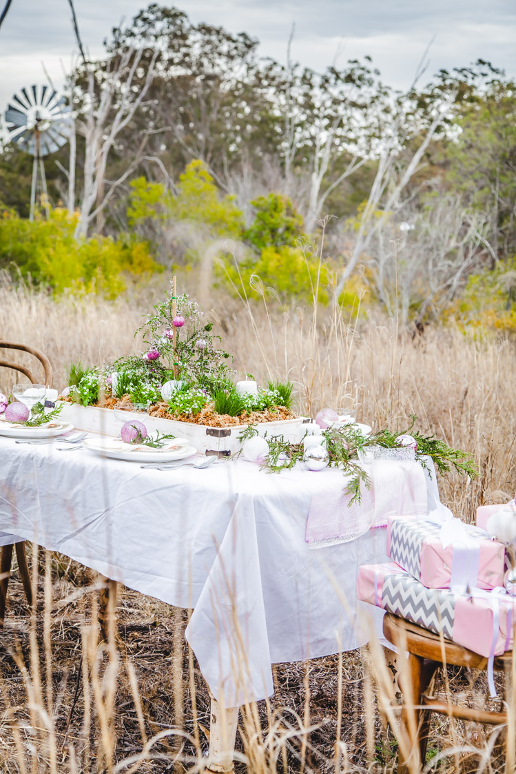How To Make A Living Christmas Centerpiece For Your Christmas Table + Video | The Whimsical Wife
