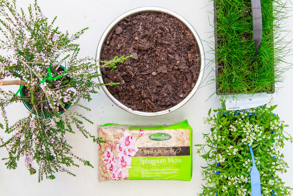 How To Make A Living Christmas Centerpiece For Your Christmas Table + Video | The Whimsical Wife