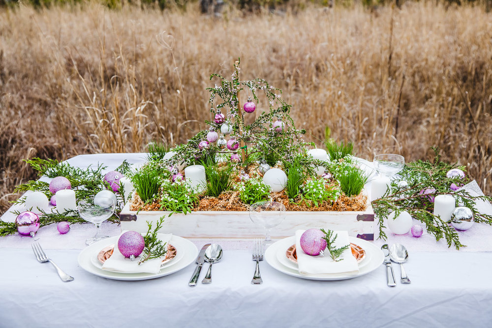 How To Make A Living Christmas Centerpiece For Your Christmas Table + Video | The Whimsical Wife