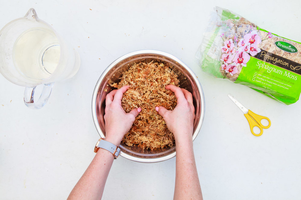 How To Make A Living Christmas Centerpiece For Your Christmas Table + Video | The Whimsical Wife