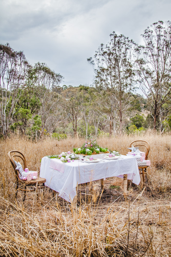 How To Make A Living Christmas Centerpiece For Your Christmas Table + Video | The Whimsical Wife