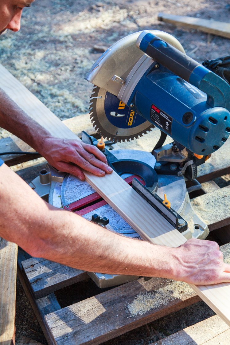 How To Make A Living Christmas Centerpiece For Your Christmas Table + Video | The Whimsical Wife