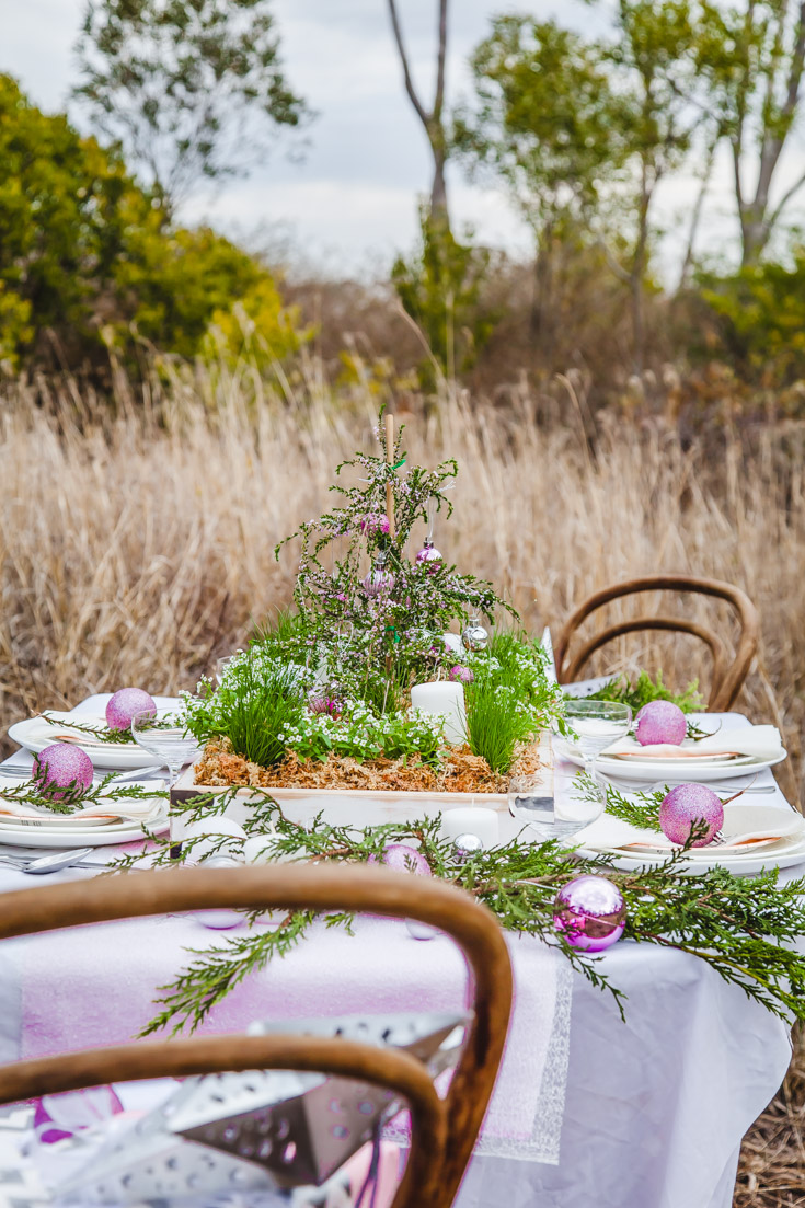 How To Make A Living Christmas Centerpiece For Your Christmas Table + Video | The Whimsical Wife