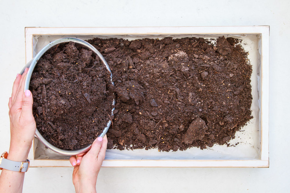 How To Make A Living Christmas Centerpiece For Your Christmas Table + Video | The Whimsical Wife