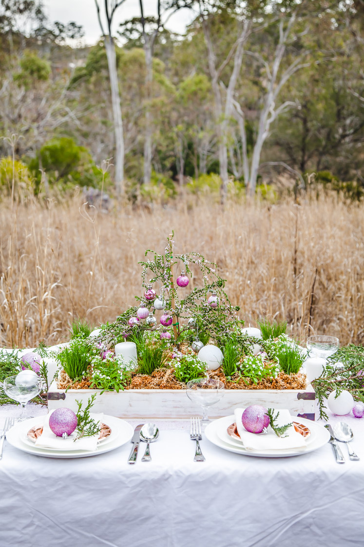 How To Make A Living Christmas Centerpiece For Your Christmas Table + Video | The Whimsical Wife