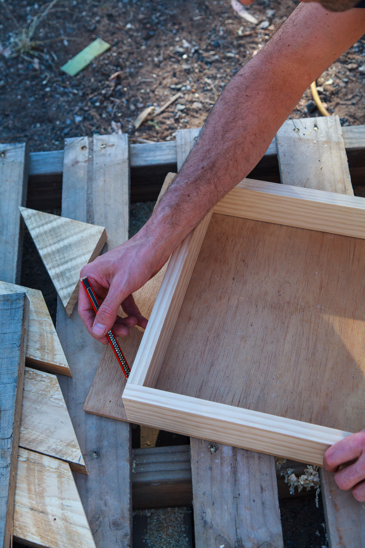 Living Christmas Centerpiece-1503.JPGHow To Make A Living Christmas Centerpiece For Your Christmas Table + Video | The Whimsical Wife