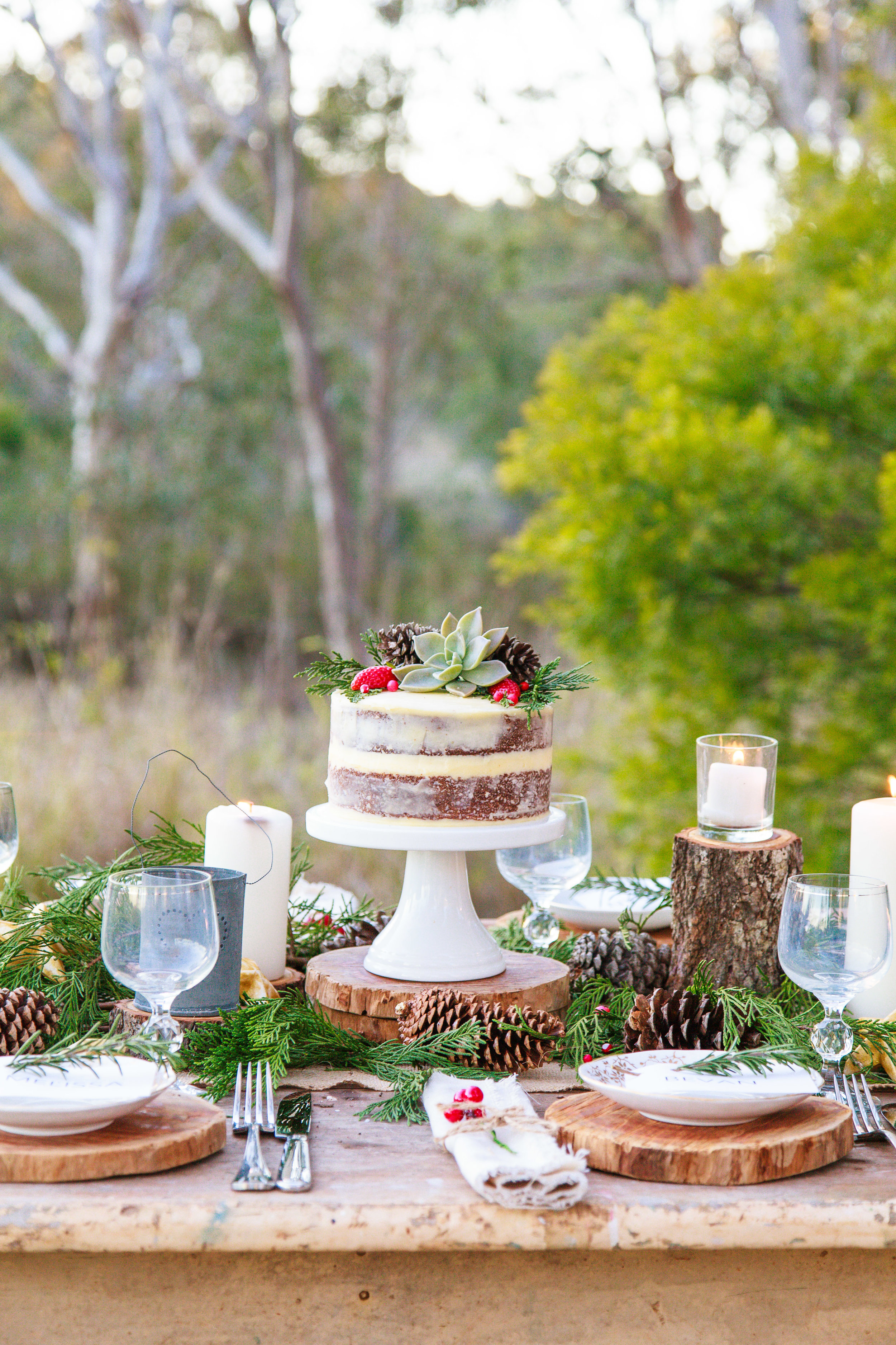 DIY Log Placemats + Rustic Bush Christmas Tablescape + Video