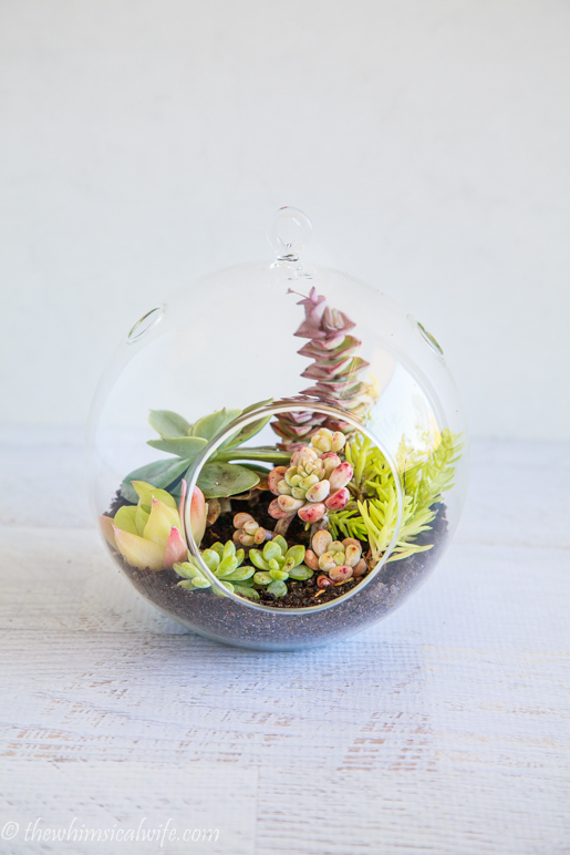 How To Make A Succulent Terrarium