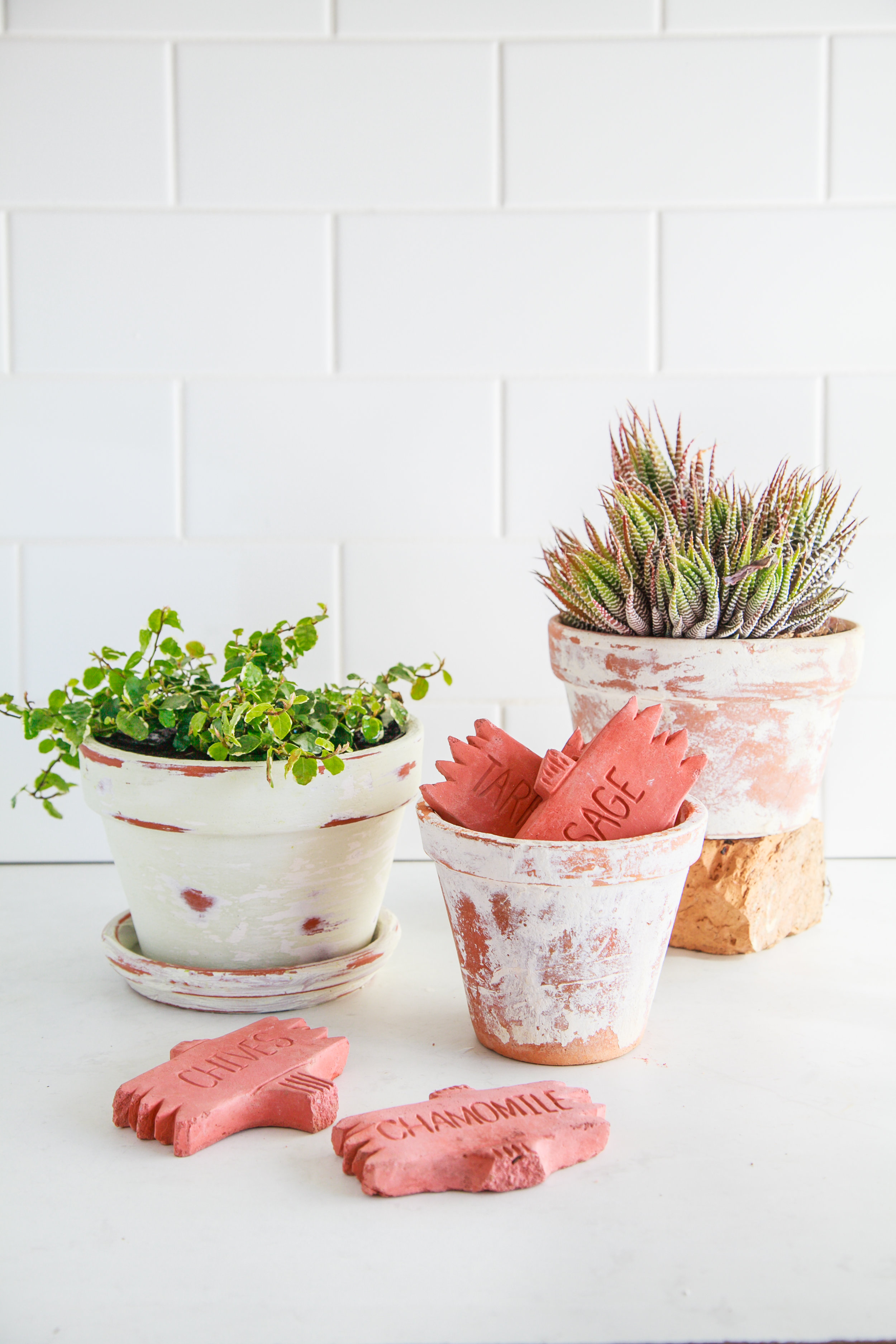 How To Age Terracotta Pots