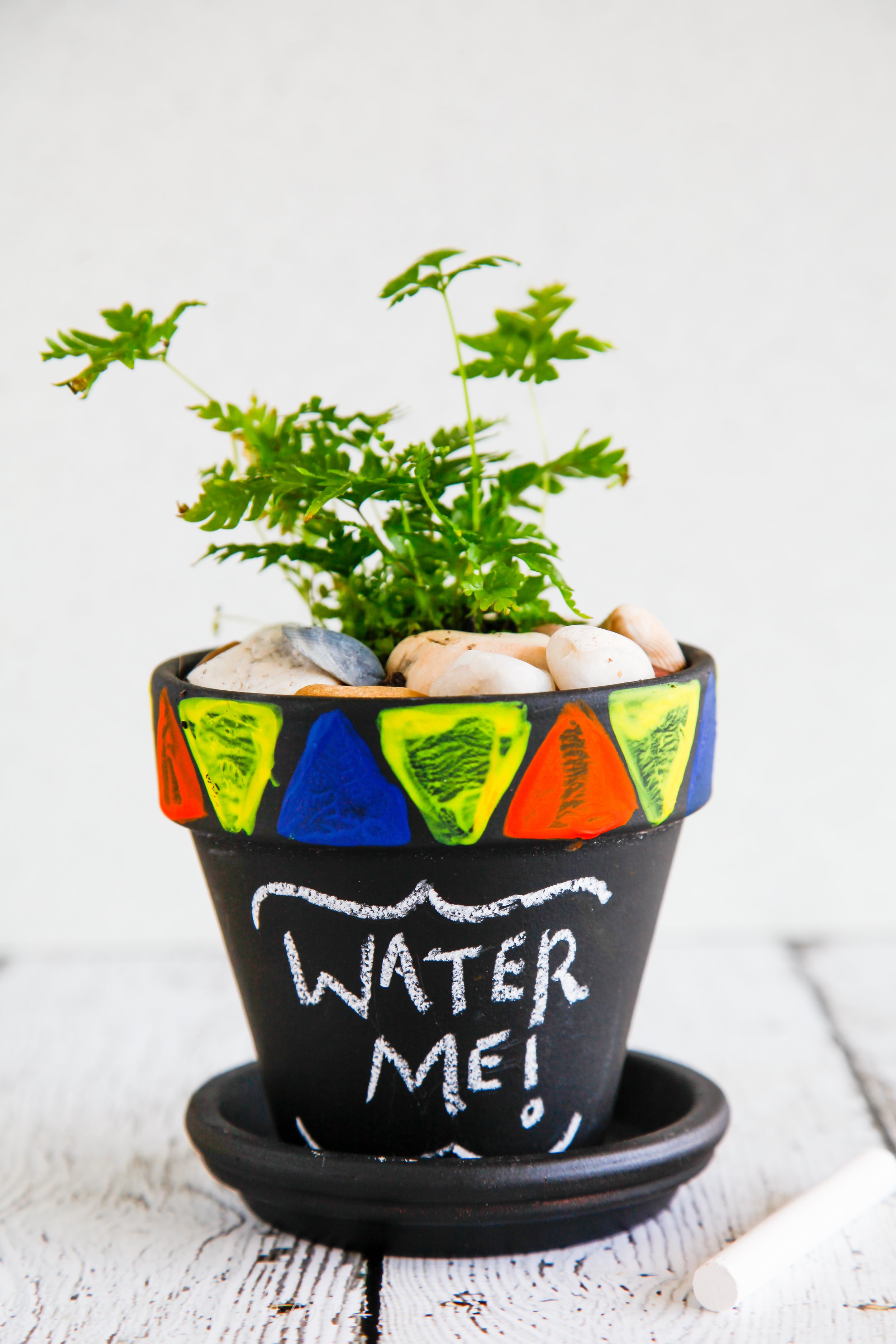 School Holiday Craft Under $20: DIY Chalkboard Pot Plant