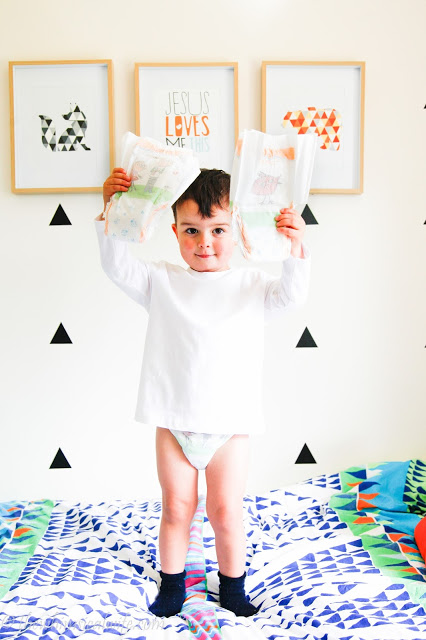 The Art of Toilet Training & A Giveaway