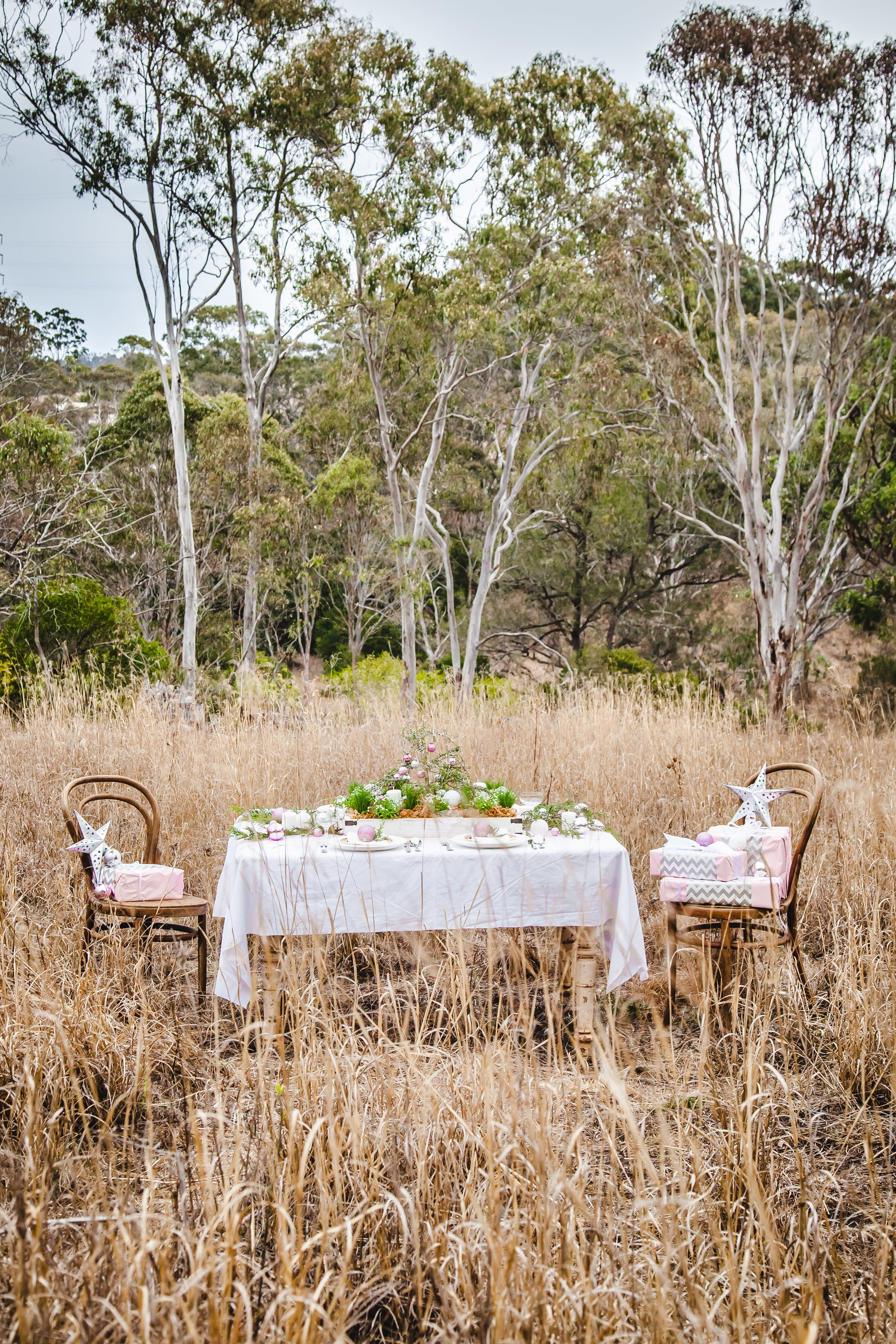 How To Make A Living Christmas Centerpiece For Your Christmas Table + Video